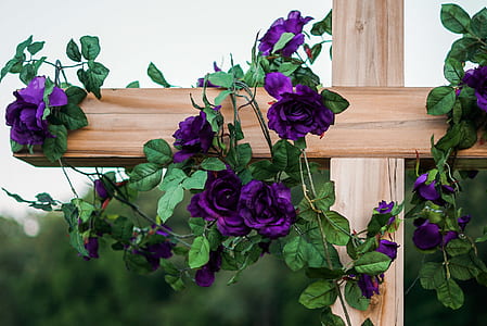 purple petaled flowers hanging on brown wooden cross thumbnail