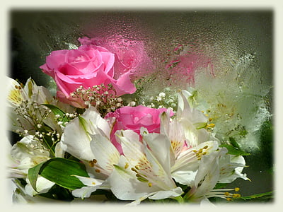 pink and white flowers poster thumbnail