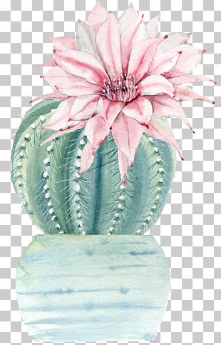 Water color flower plant cactus, green cactus illustration PNG clipart