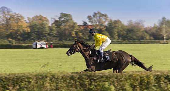 man riding brown horse thumbnail