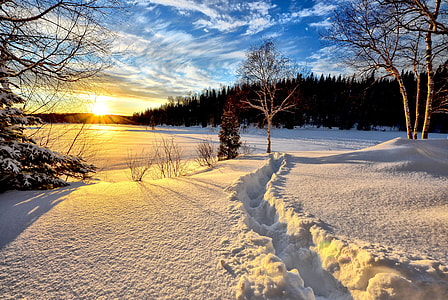 Winter Morning sunrise landscape thumbnail
