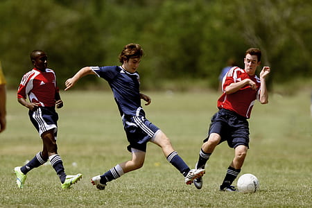 people, field, men, lawn thumbnail