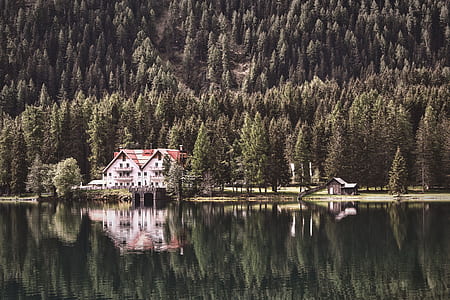 house surrounded by trees near body of water thumbnail