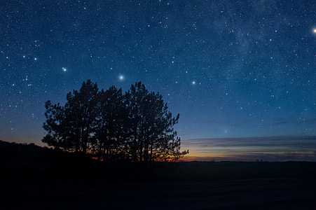 Night Tree Silhouette Stars thumbnail