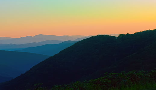 trees covered mountain during golden hour thumbnail