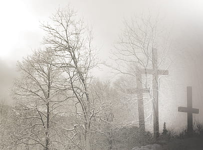 grayscale photo of tree and cross thumbnail