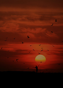 silhouette of woman standing near seashore under white sky during sunset thumbnail