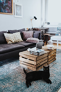 Designer living room interior with a wooden box table and a light blue carpet thumbnail