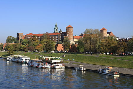 boats docked on river near trees during daytime thumbnail