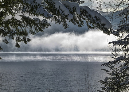 green leafed trees covered with snow near body of water during daytime thumbnail