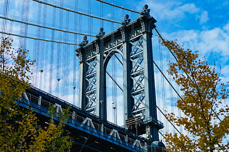 gray and blue steel bridge near trees thumbnail