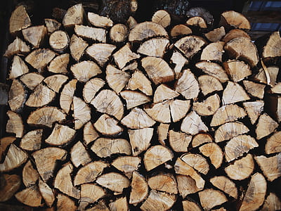pile of firewoods thumbnail