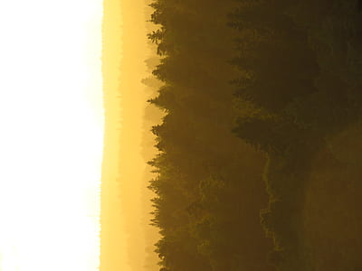 green leaf trees at daytime thumbnail
