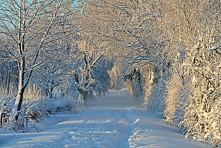 white snow on pathway at daytime thumbnail