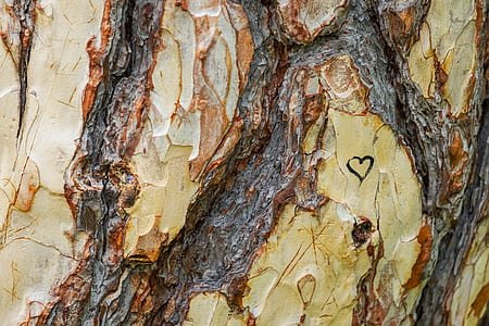 wood surface with heart print thumbnail