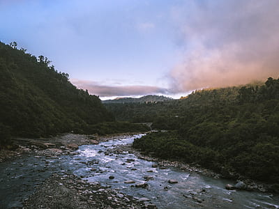 aerial view of body of water and trees during daytime thumbnail