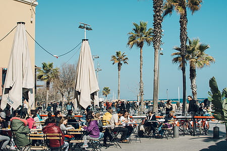 Group of People Eating Outdoors thumbnail