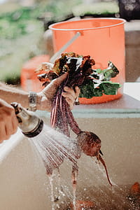 Cleaning Vegetables thumbnail