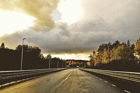 asphalt road near tree during golden hour thumbnail