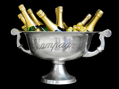 stainless steel champagne bowl with wine bottles thumbnail