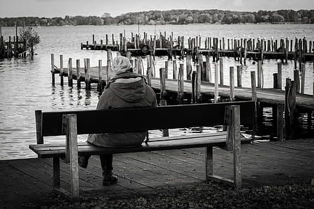 person sitting on bench beside water thumbnail