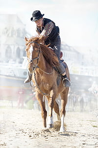 cowboy riding brown horse thumbnail