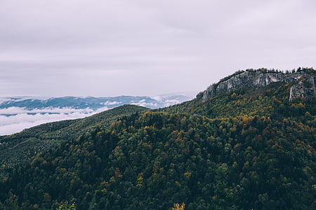 mountains surrounded by green leaf trees thumbnail