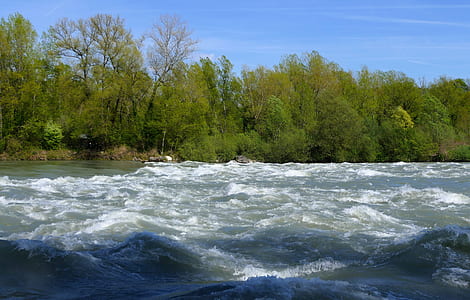 water waves near trees under blue sky thumbnail