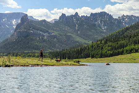 person playing with dog beside river thumbnail