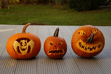 three brown pumpkin decors thumbnail
