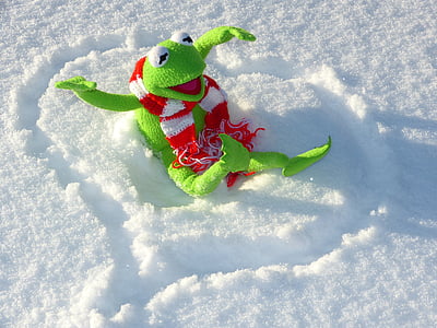 green frog on snow thumbnail