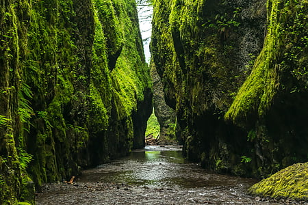 landscape photo of body of water between stone cliffs thumbnail