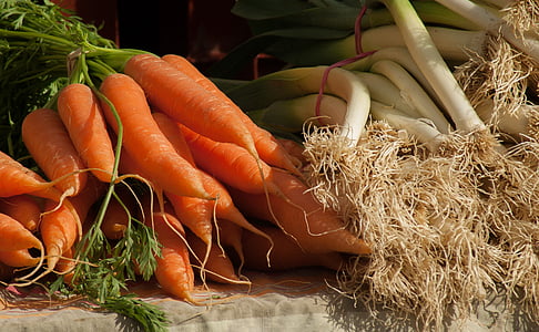carrot lot thumbnail