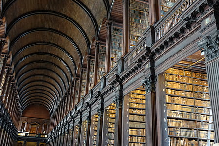 Low Angle Photography of Library thumbnail