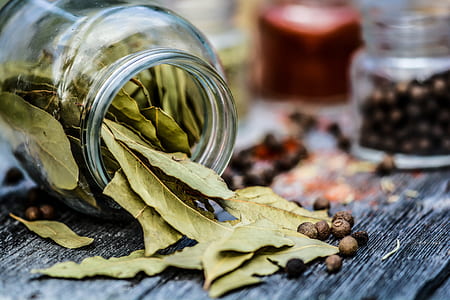 clear glass jar with green leaves thumbnail