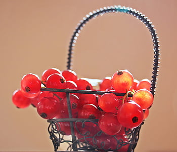 red berries in the basket thumbnail