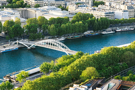 White Steel Bridge on Water Canal in the Middle of City during Day thumbnail