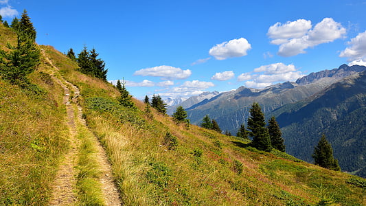 green grass field and trees at daytime thumbnail