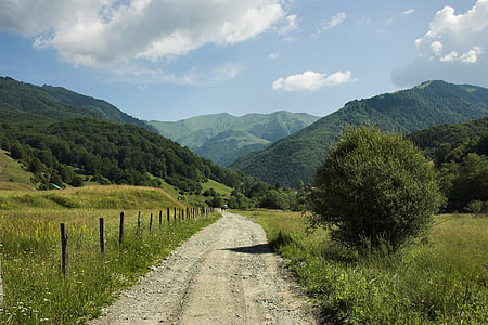brown soil roadway between green grass field at daytime thumbnail