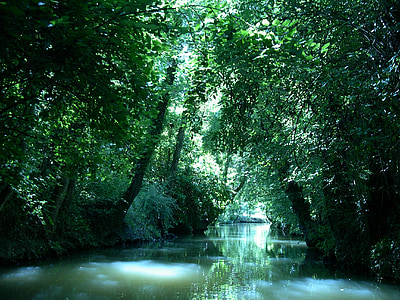 river in forest thumbnail