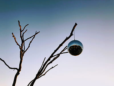 close up photography of gray bauble hanging on twigs thumbnail