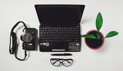 black laptop computer beside green leaf potted plant thumbnail