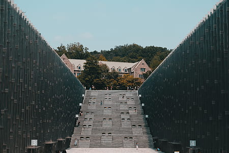 person standing in between high-rise wall under blue sky thumbnail