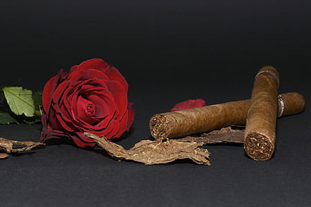 red rose and two brown cigars thumbnail