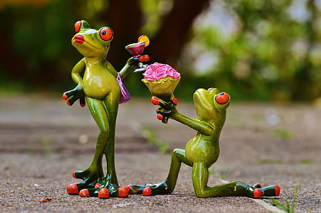 couple frog thumbnail