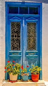 potted plants beside closed window thumbnail