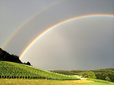 portrait photography of rainbow over grass field during daytime thumbnail