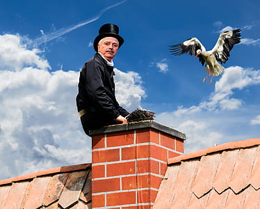 man sitting on top of chimney near flying white stork thumbnail