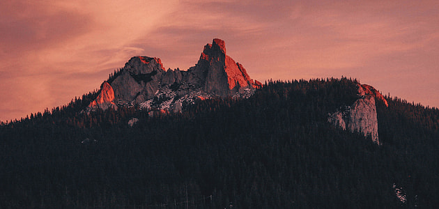 rock formation surrounded by trees during golden hour thumbnail