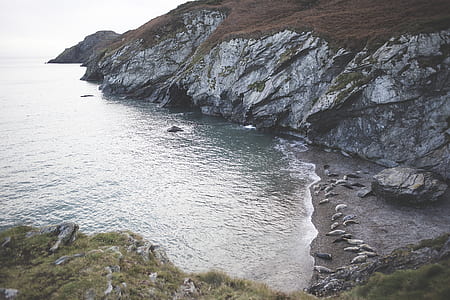 Rock Formation Beside Body of Water thumbnail